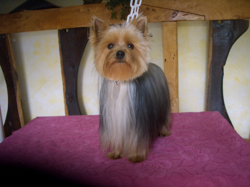 Du domaine de monderlay Galina